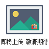 BFC8110/HN防爆泛光燈 質(zhì)量 *